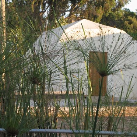 Yarok Az - Ecolodge Farm Ilaniya Room photo