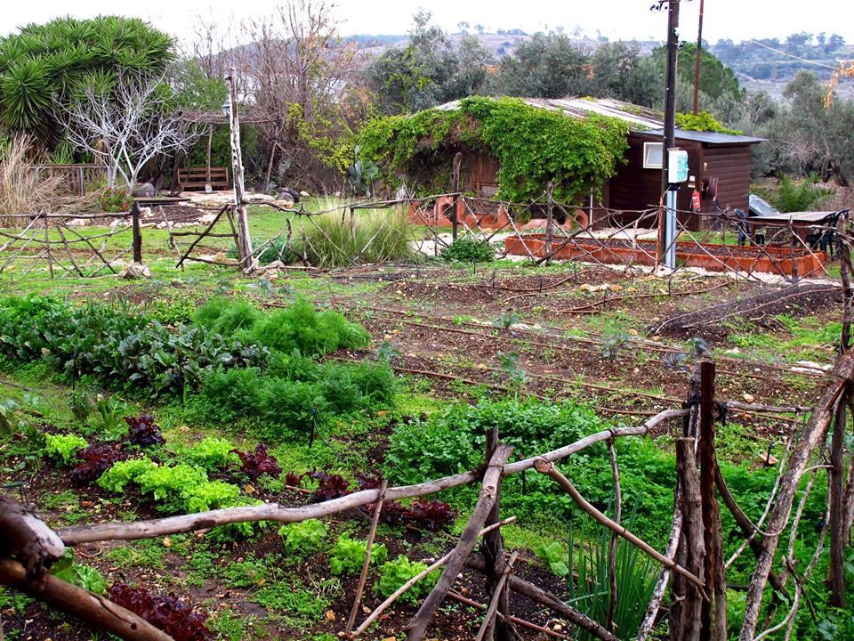 Yarok Az - Ecolodge Farm Ilaniya Exterior photo